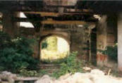 Overgrown ruins of St Anne's Hydro, Blarney, c.1991