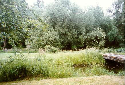 View of river from the Riverside Turkish bath