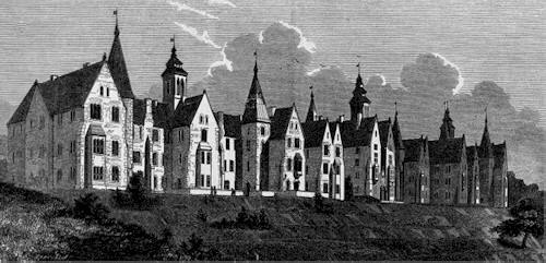 The Eglinton Lunatic Asylum, Cork